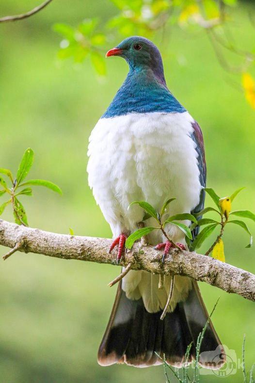 Mike & Jenny'S Kaka Point Accommodation Ngoại thất bức ảnh